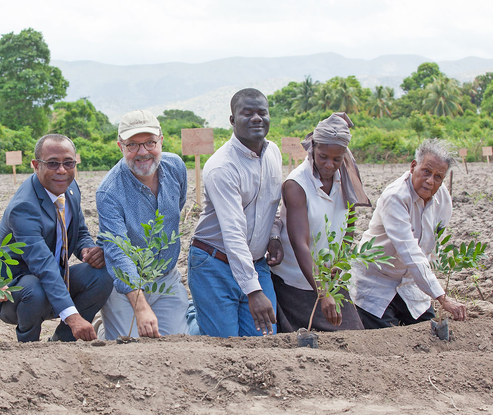 SFA Cotton Field Trial Launch in 2017 with (from left) Pierre Marie Du Mény, Haitian Minister of Commerce and Industry; Hugh Locke, SFA; Timote Georges, SFA; Nerlande Dautarn, smallholder farmer; Rémillot Léveillé, noted agronomist known as the ‘father of cotton’ in Haiti.