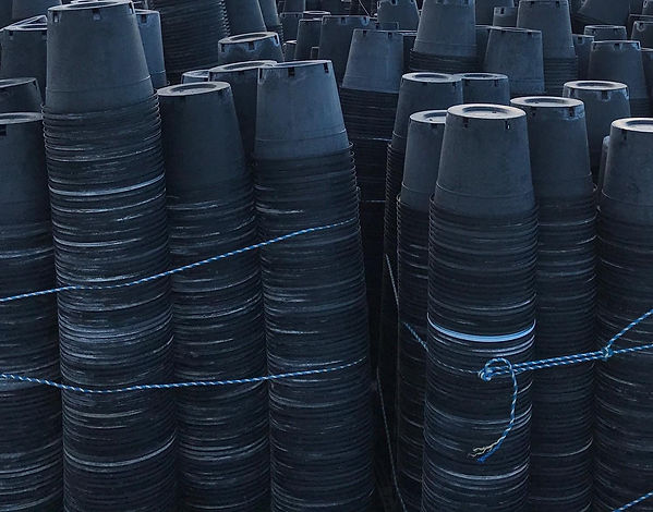 PP PLANT POTS; FLOWER POTS