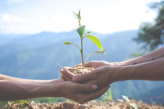 environmental-conservation-garden-children.jpg