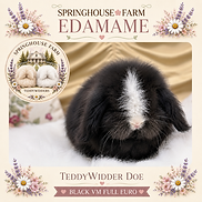 EDAMAME 9 WEEKS.png