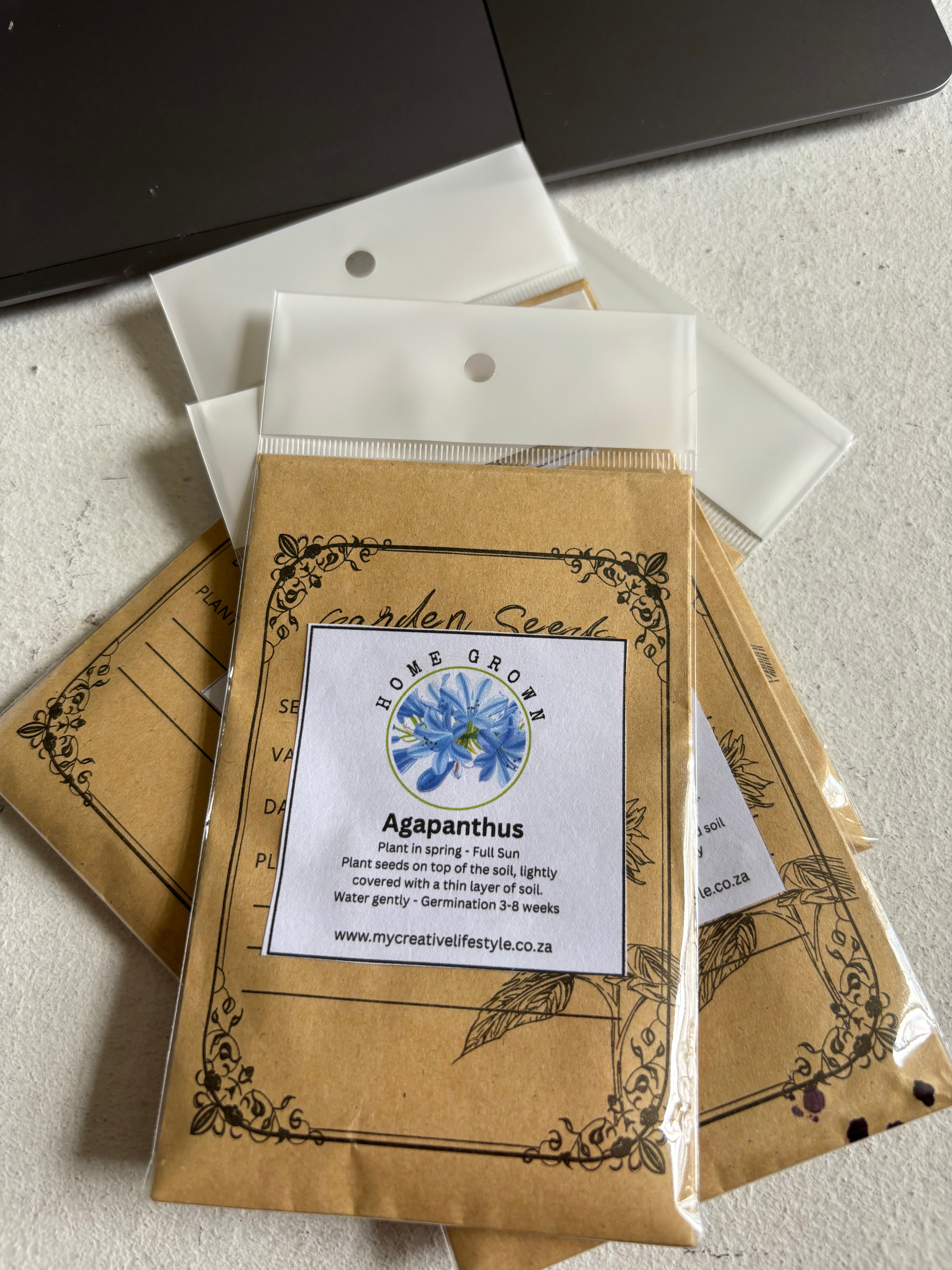 Agapanthus Seeds