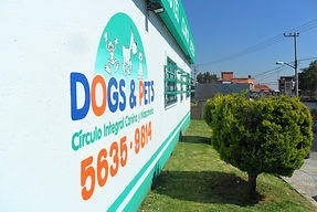 Visita Dogs and Pets
