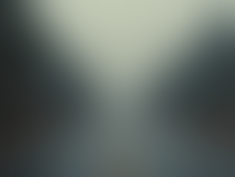 无需学历的技能课程指南