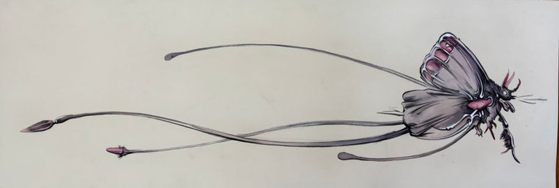 Moth, charcoal and ink on paper, 100 x 35 cm

Price on request