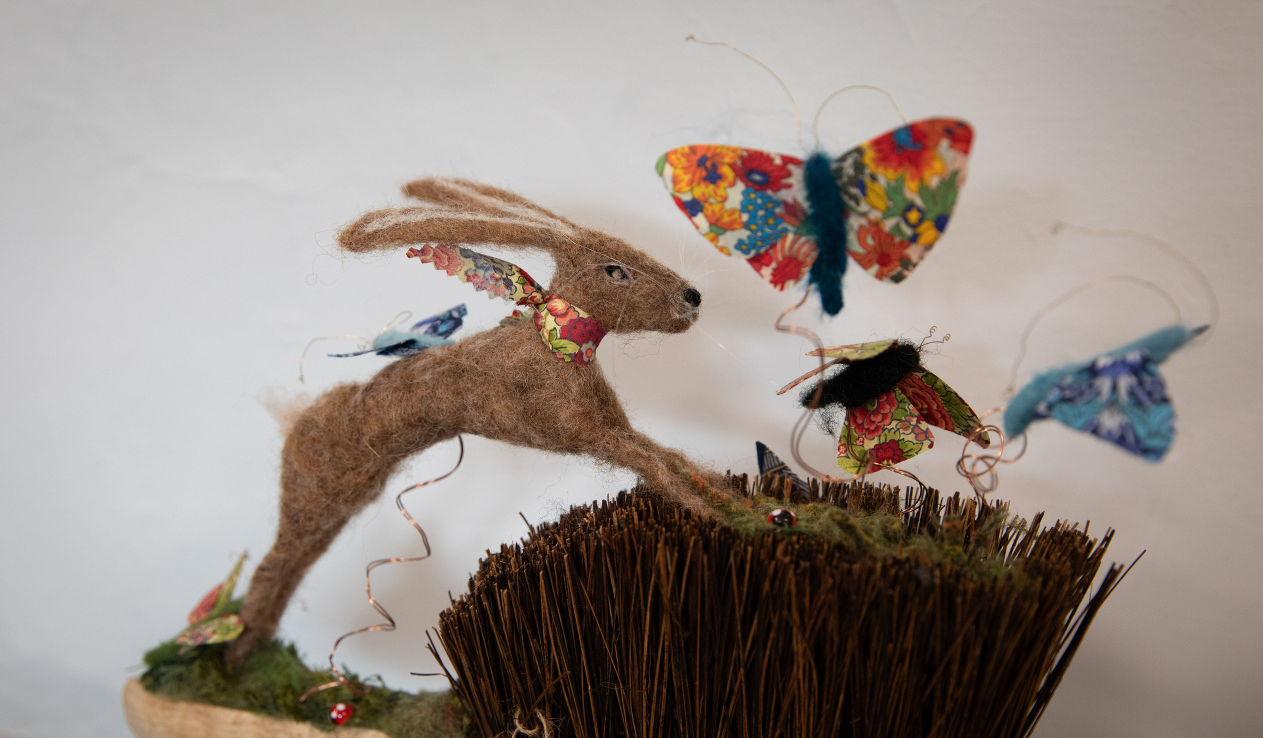 A flutter of Butterflies