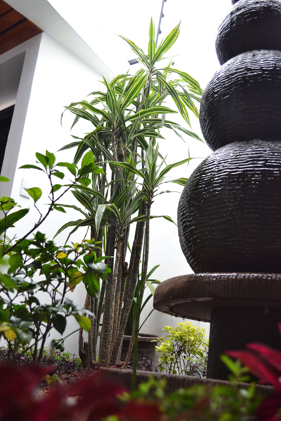 Jardines