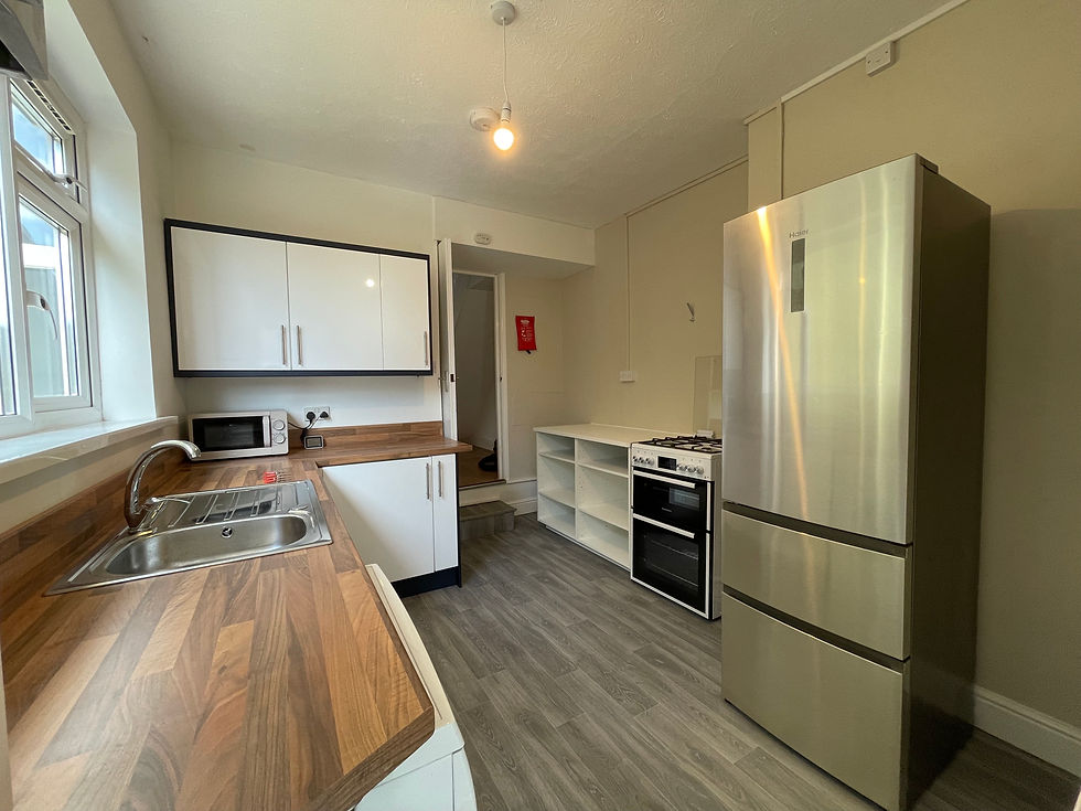 Kitchen - washing machine under the counter