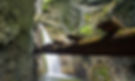slovak-paradise-ladders.jpg