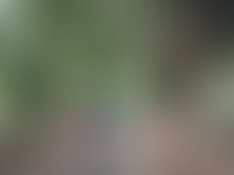 מסלול הליכה קמינו דה סנטיאגו דה קומפוסטלה