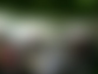 שביל קורפו יוון - יונה ורוני דורון מאי 2012