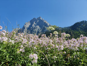 טרק באלפים האלבנים יולי 2022