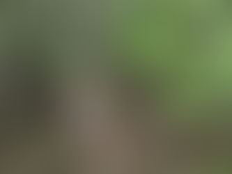 מסלול הליכה חצי האי פיליון גן עדן לטיולים 6 ימים