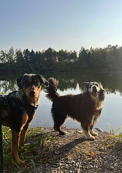 474197011_1322427018790370_2735991282861776507_n (1).jpg