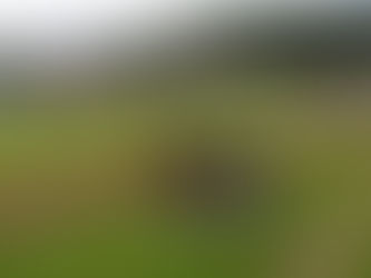 Tréninky omezeně i v období od 14. října