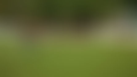 ESTAN DEFINIDOS LOS SEMIFINALISTAS