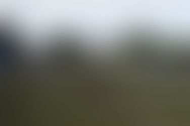 COMIENZAN LOS CUARTOS