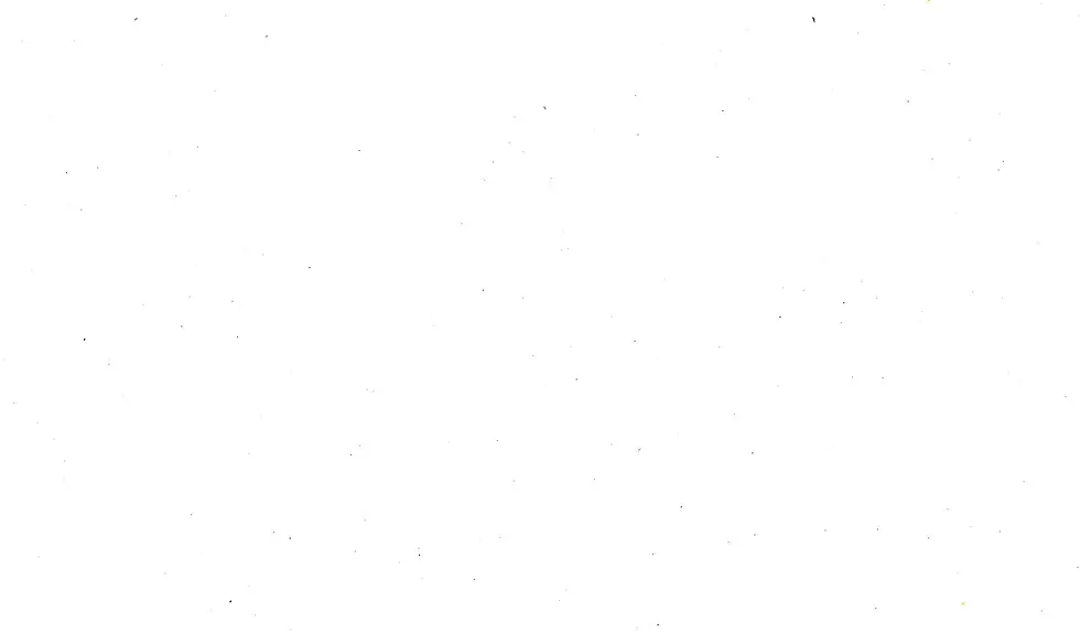 1556608.webp