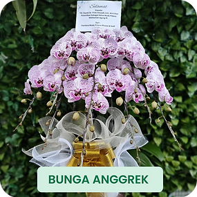 Bunga Anggrek