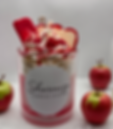 Wintery Candy Apple