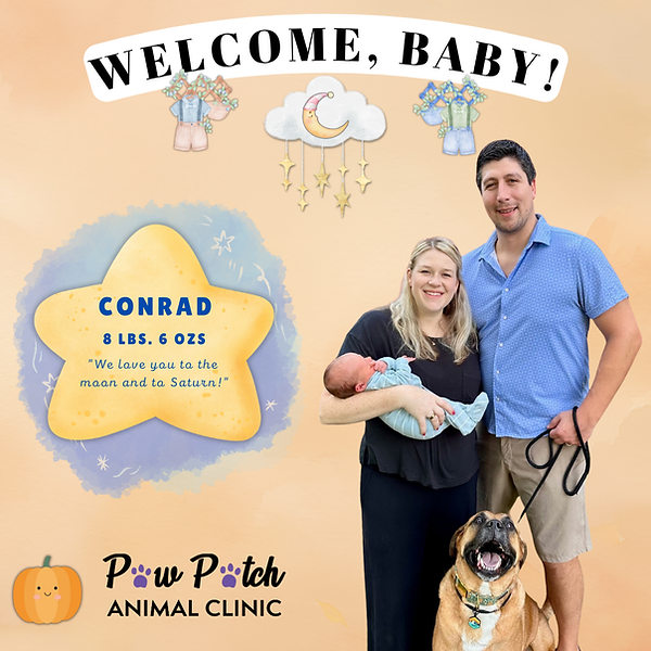 Please Welcome Conrad
