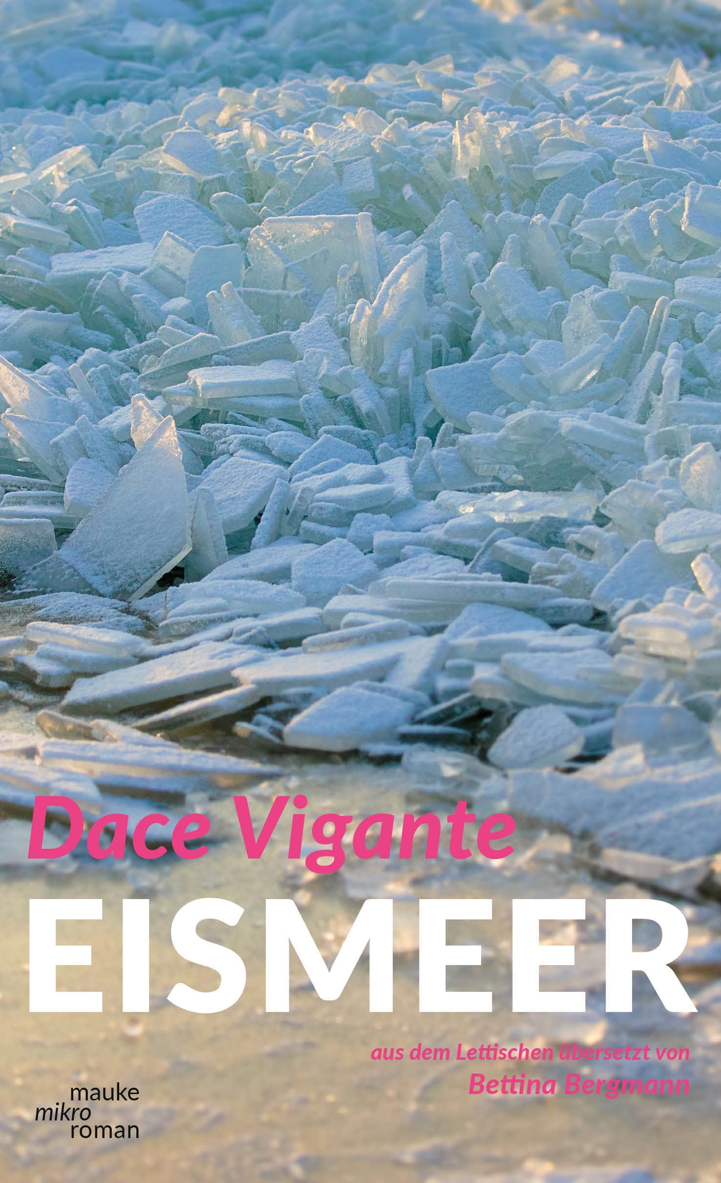 Dace Vigante: Eismeer
