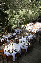 IMG_7597.JPG