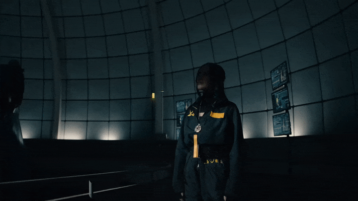#94200 (Walker ID).gif