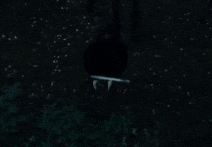youtube-video-gif (2) (1).gif