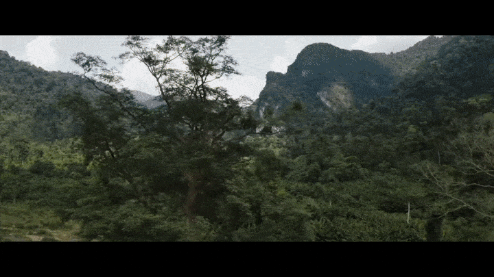 alonept24-ezgif.com-optimize.gif
