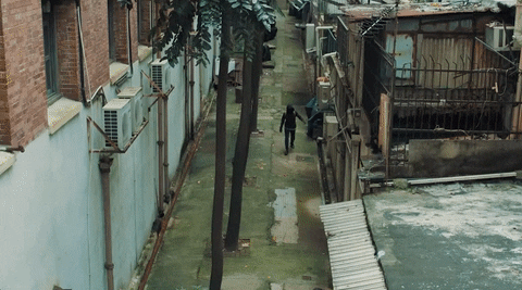 giphy (1).gif