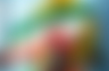 IRAN - 20 Gennaio 2023-Ande Roma incontra Samira Ardalani