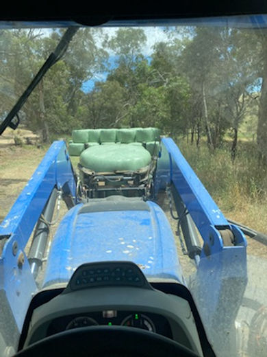 Silage.jpg