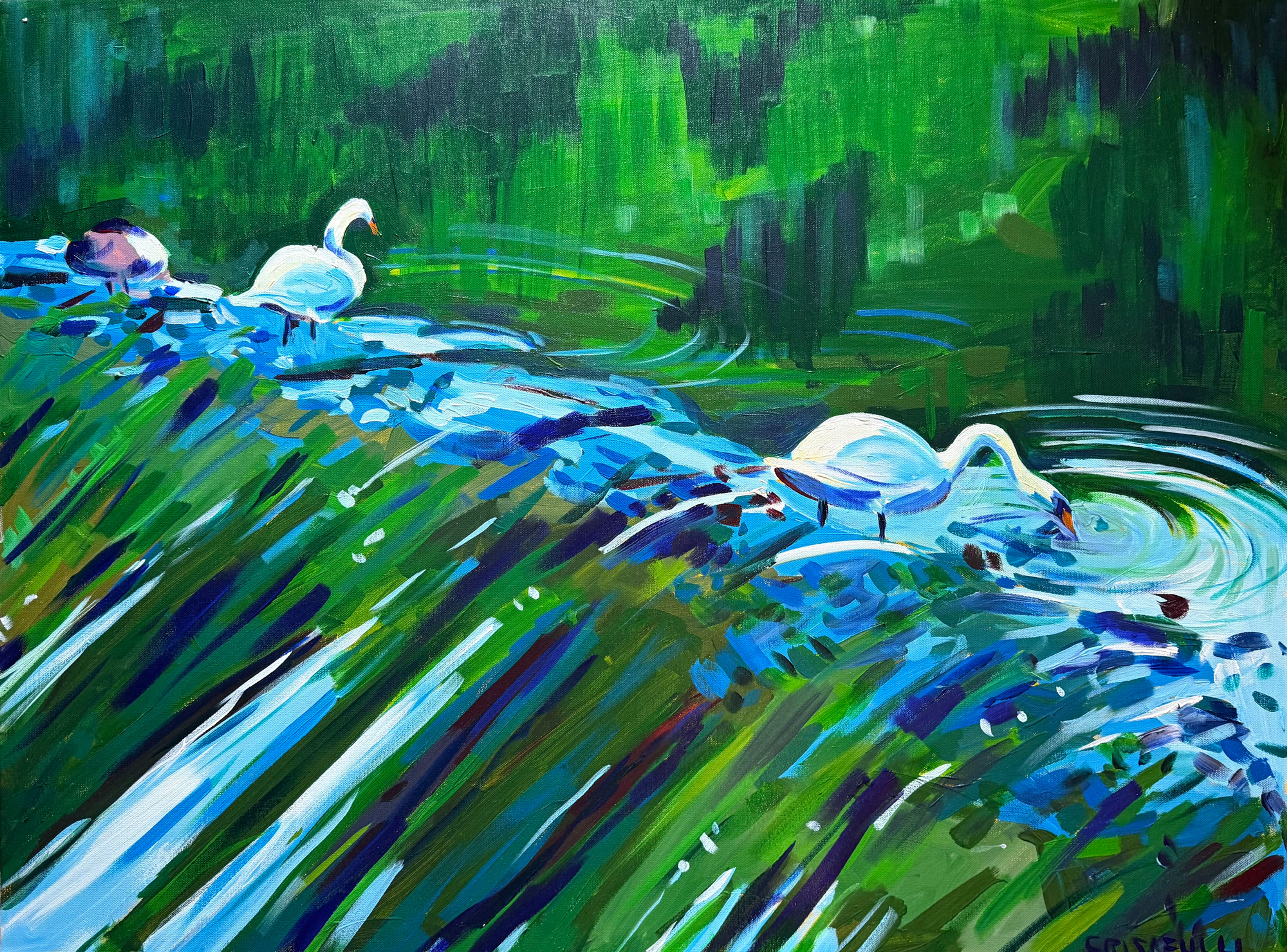 Swans at south Natick Falls
