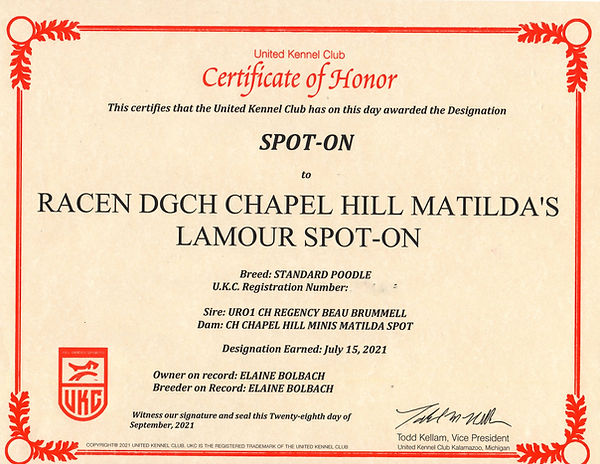 Lamour Spot on Cert.jpg