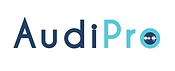 audipro modificado.PNG