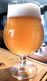 htbb gose_edited.jpg