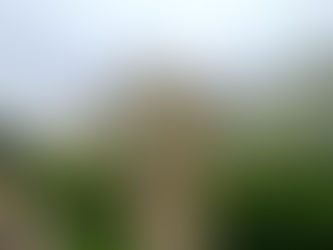 Ein Tag in Kew Gardens – Wo London grün träumt