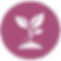 Young Independence.png