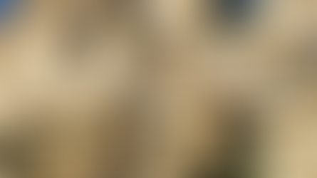 Restoring the Elegance: A Journey into Vintage Chanel Leather Bag Restoration