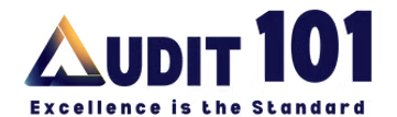 Audit101