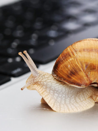 Sua empresa tem uma cultura de tolerância à baixa performance?