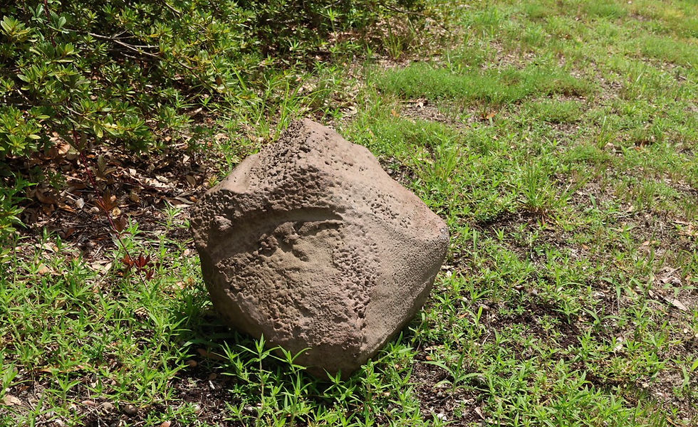 Thumbnail: Gonzo Prop Rock from HST Funeral
