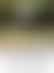 Você não precisa reinventar a roda. Mas você precisa saber se você está usando a roda certa.