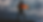 aziz-acharki-HsXgRlIr4Ls-unsplash_edited