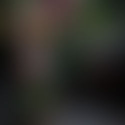 10月のジュアンブーケスタイル