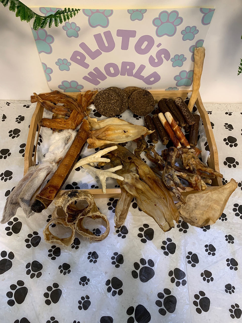 Thumbnail: Pluto's Munch Box