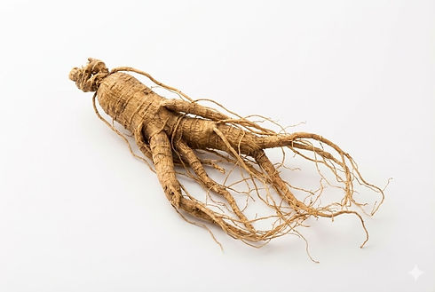 Ginseng.avif