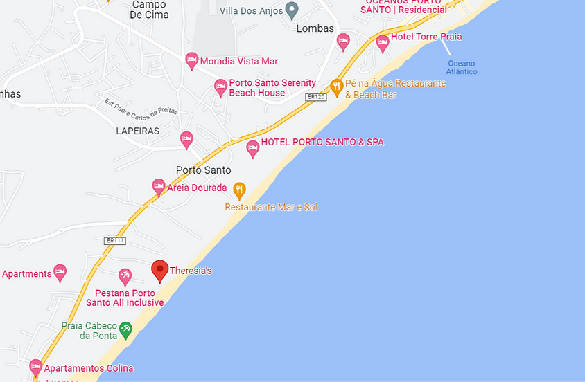 Theresia's Google Maps_edited.png
