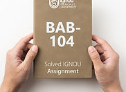 BAB-104: State, Democracy and Nation Building (2022-23)