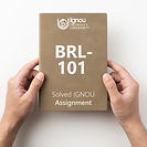 BRL-101: Overview of Retailing (2022-23)